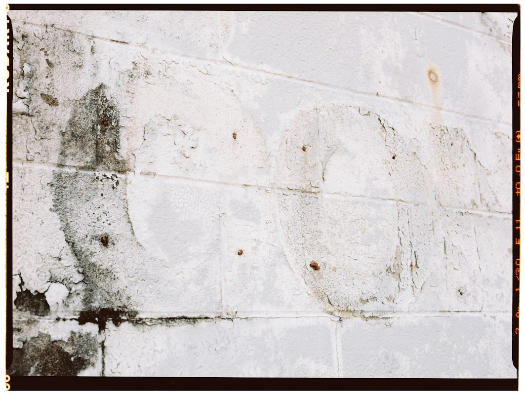 Mold Remediation service in West Jordan, UT
